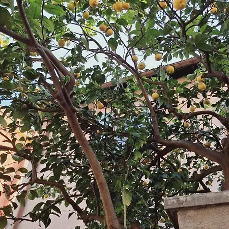 Casetta Garbatella Rome